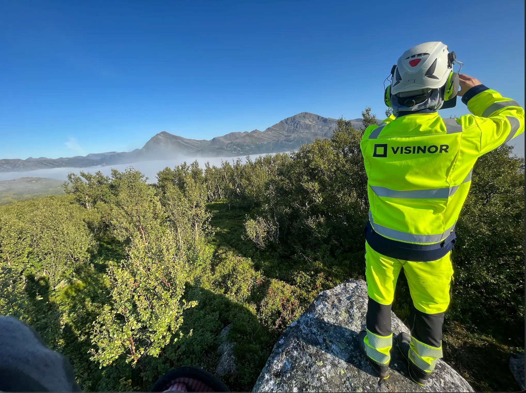 Fotografija je snimljena iz leđne perspektive i prikazuje radnika koji stoji uspravno na velikoj, sivoj stjenovitoj formaciji obrasloj lišajevima, na vrhu uzvisine. Potpuno je odjeven u fluorescentno žuto-zelenu zaštitnu radnu odjeću visoke vidljivosti — jaknu s vodoravnim sivim reflektirajućim trakama preko leđa i rukava, te hlače iste boje s reflektirajućim trakama pri dnu nogavica, iznad tamnih zaštitnih čizama/nazuvaka. Na leđima jakne, ispisan crnim slovima, nalazi se naziv tvrtke "VISINOR" pored crnog kvadratnog logotipa. Na glavi nosi bijelu zaštitnu kacigu s crvenim trokutastim simbolom sprijeda, te crne zaštitne slušalice/štitnike za uši pričvršćene sa strane kacige, a preko njih crne naočale za sunce. Desnom rukom, podignutom do glave, pridržava ili namješta slušalicu/kacigu, dok mu je lijeva ruka niz tijelo, izvan vidljivog kadra. Radnik gleda prema daljini, u širok, prostran krajolik ispred sebe. Neposredno ispred njega i ispod stijene na kojoj stoji, prostire se gusto, nisko raslinje i grmlje tamnozelene i svjetlozelene boje, tipično za subarktičku/planinsku vegetaciju (nalik patuljastoj brezi ili vrištini), koje se proteže preko cijele srednje dubine kadra. U daljini se nalazi sloj guste bijele magle ili niskih oblaka koji prekriva dolinu, iznad koje se uzdižu tamne, kamenite planinske kose i vrhovi nepravilnog, oštrog oblika, osvijetljeni jutarnjim ili večernjim suncem. Nebo iznad je čisto, intenzivno plave boje, bez oblaka u gornjem dijelu kadra. U donjem lijevom kutu fotografije nazire se dio druge osobe ili predmeta u prvom planu, djelomično izvan fokusa i kadra (siva sjena ili rame, te djelić tkanine s crveno-bijelim uzorkom), što sugerira da je fotografija snimljena od strane druge osobe koja stoji u blizini. Cjelokupna atmosfera fotografije je čista, mirna i impresivna, dočaravajući trenutak promatranja prirode s visine tijekom terenskog radnog zadatka u planinskom, sjevernjačkom krajoliku.